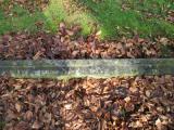 image of grave number 613407